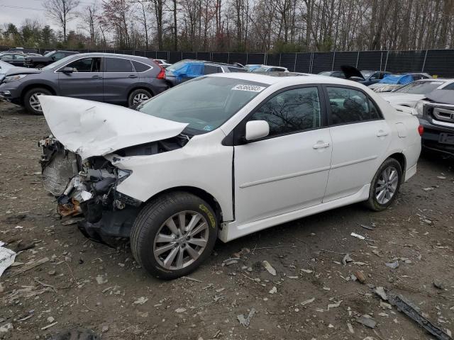 TOYOTA COROLLA BA 2010 2t1bu4ee1ac424920