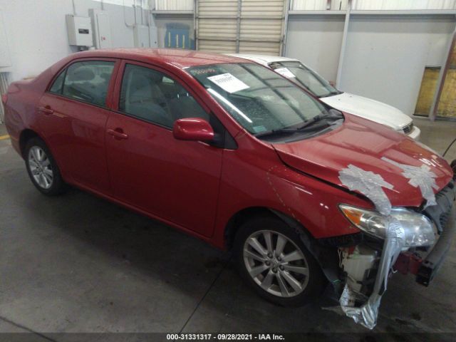 TOYOTA COROLLA 2010 2t1bu4ee1ac427798