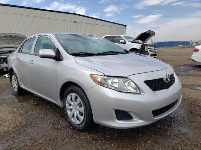 TOYOTA COROLLA 2010 2t1bu4ee1ac432564