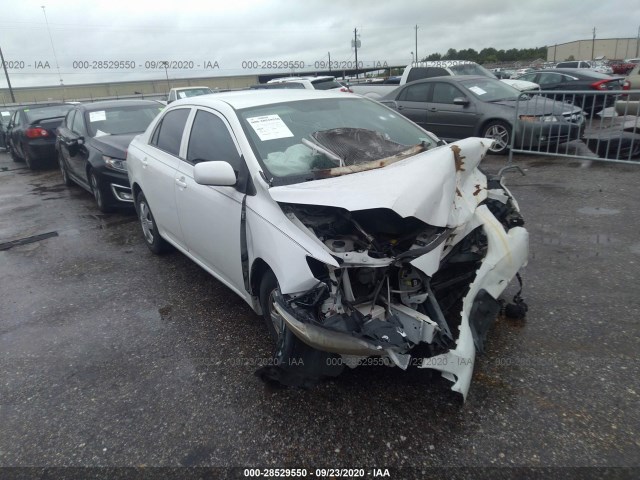 TOYOTA COROLLA 2010 2t1bu4ee1ac448960