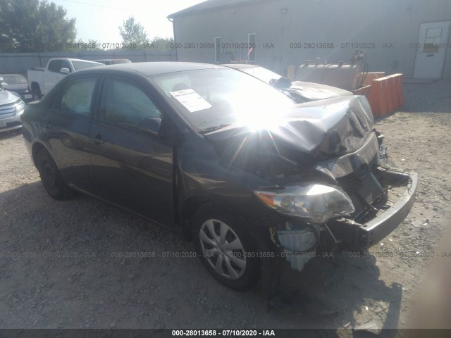 TOYOTA COROLLA 2010 2t1bu4ee1ac475883