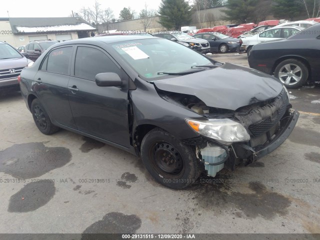 TOYOTA COROLLA 2010 2t1bu4ee1ac480887