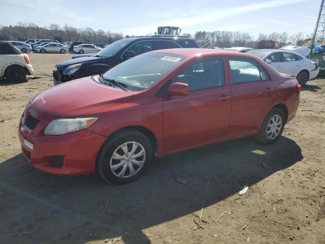 TOYOTA COROLLA 2010 2t1bu4ee1ac495602