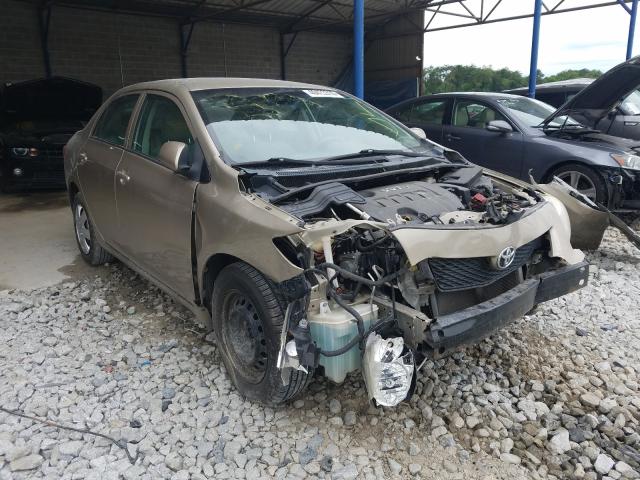 TOYOTA COROLLA 2010 2t1bu4ee1ac508204