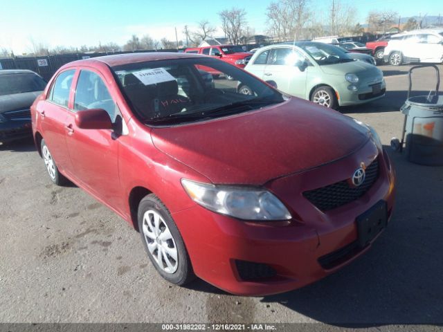 TOYOTA COROLLA 2010 2t1bu4ee1ac509241