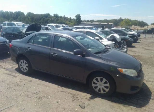 TOYOTA COROLLA 2010 2t1bu4ee1ac512706