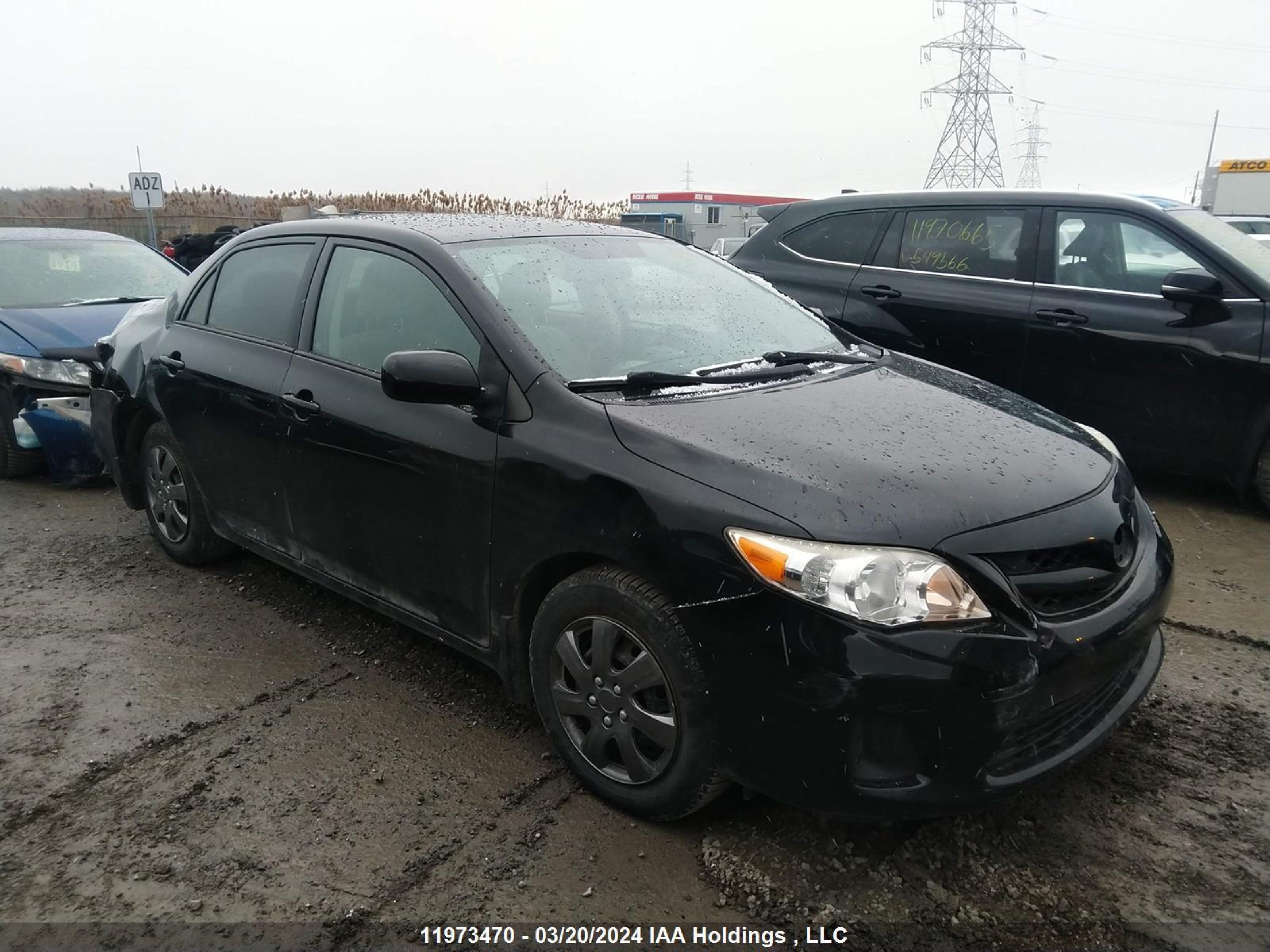 TOYOTA COROLLA 2012 2t1bu4ee1cc796583