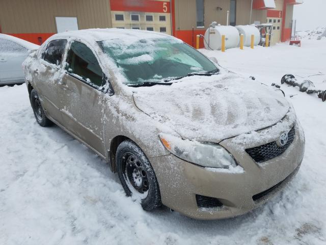 TOYOTA COROLLA BA 2010 2t1bu4ee2ac214598