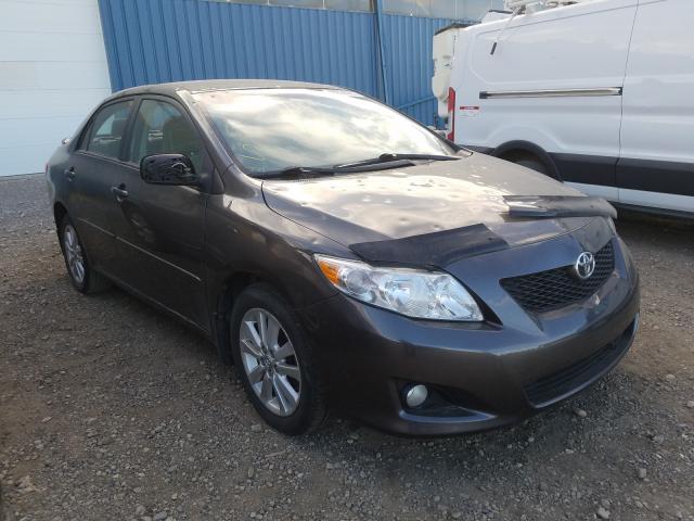 TOYOTA COROLLA BA 2010 2t1bu4ee2ac215881