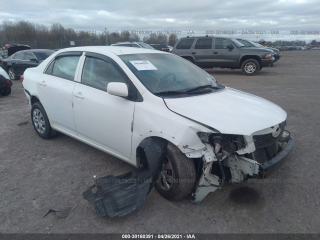 TOYOTA COROLLA 2010 2t1bu4ee2ac233698