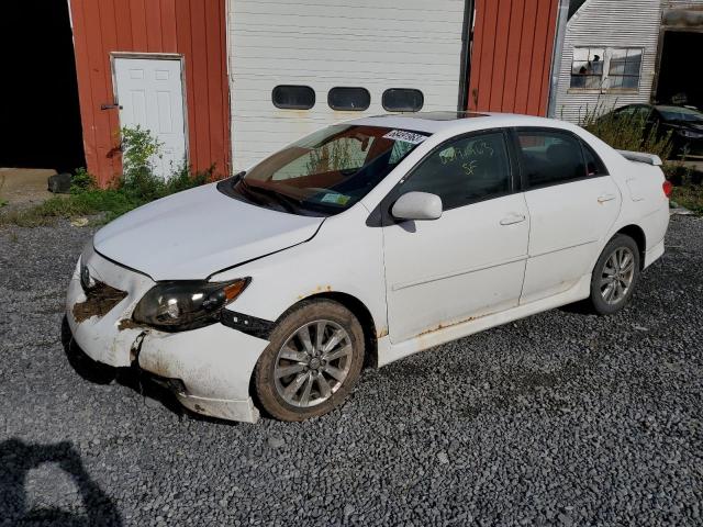 TOYOTA COROLLA BA 2010 2t1bu4ee2ac246211