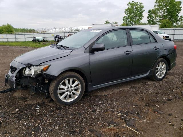 TOYOTA COROLLA 2010 2t1bu4ee2ac255491