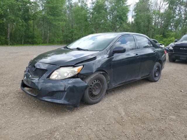 TOYOTA COROLLA 2010 2t1bu4ee2ac258195