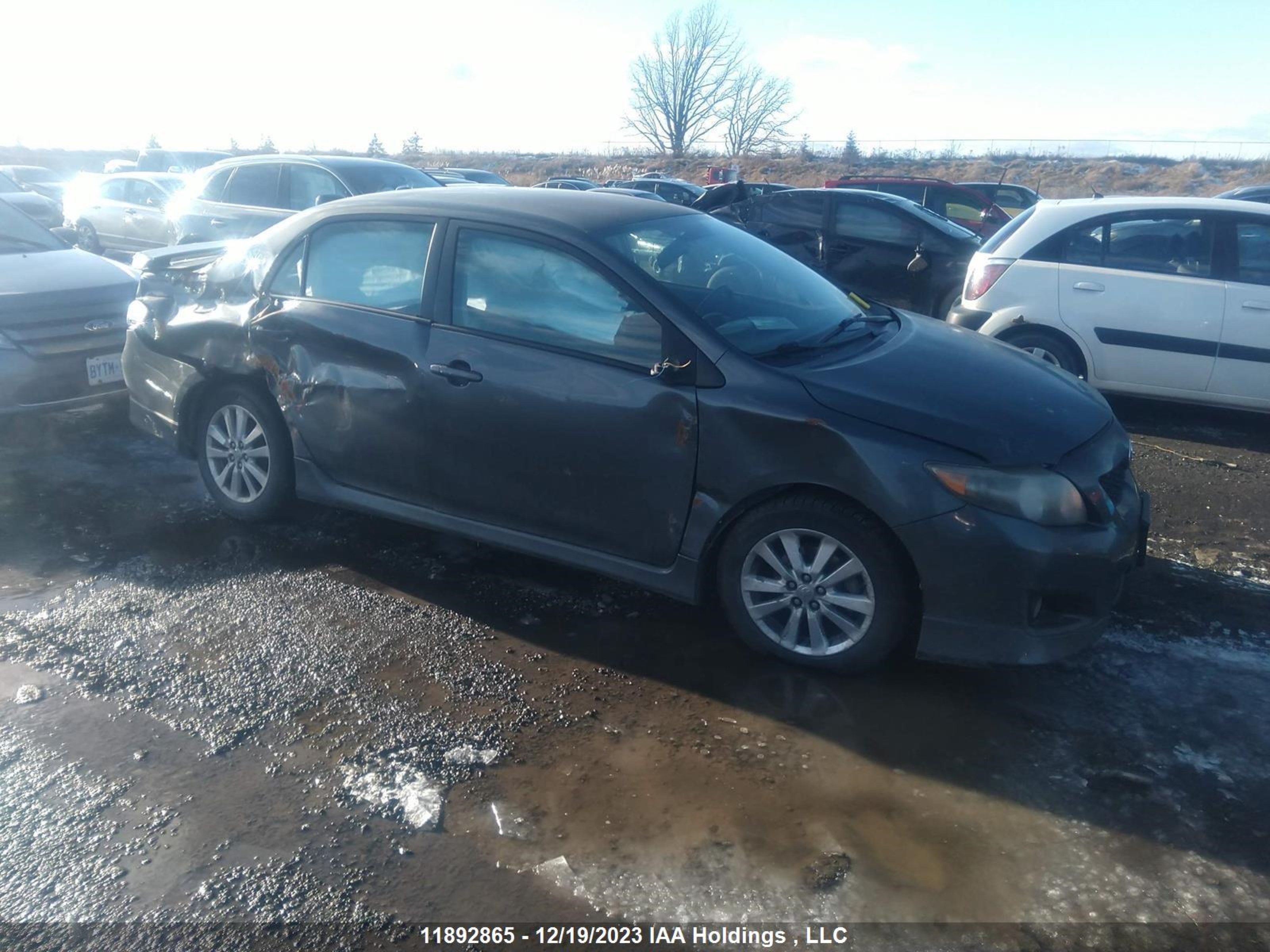 TOYOTA COROLLA 2010 2t1bu4ee2ac261050