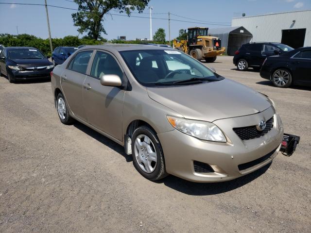 TOYOTA COROLLA BA 2010 2t1bu4ee2ac263736