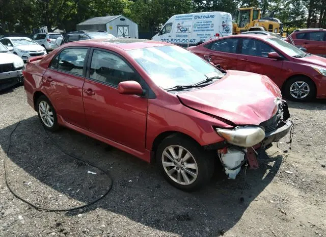 TOYOTA COROLLA 2010 2t1bu4ee2ac284599