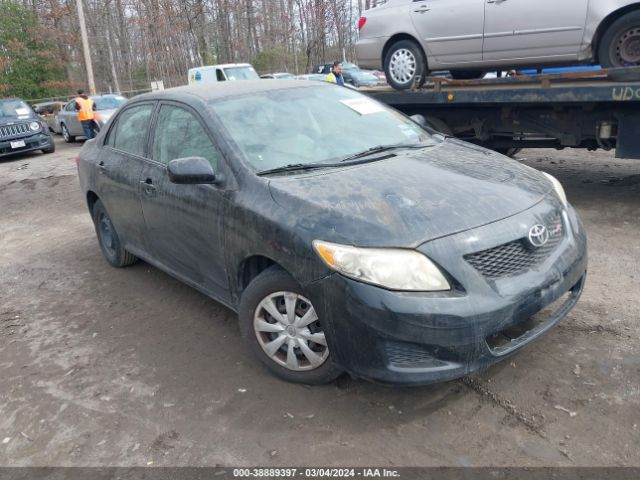 TOYOTA COROLLA 2010 2t1bu4ee2ac298731