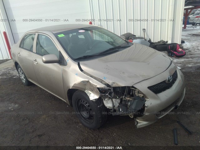 TOYOTA COROLLA 2010 2t1bu4ee2ac310179