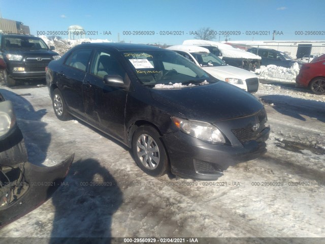 TOYOTA COROLLA 2010 2t1bu4ee2ac315799