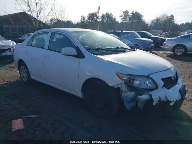 TOYOTA COROLLA 2010 2t1bu4ee2ac324051