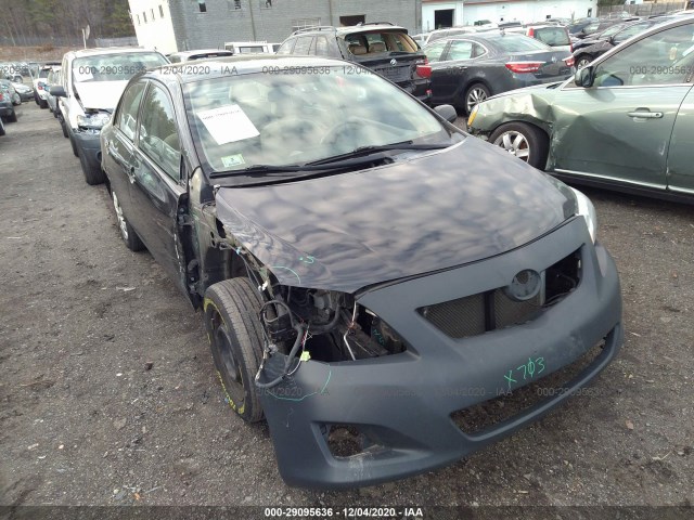 TOYOTA COROLLA 2010 2t1bu4ee2ac327788