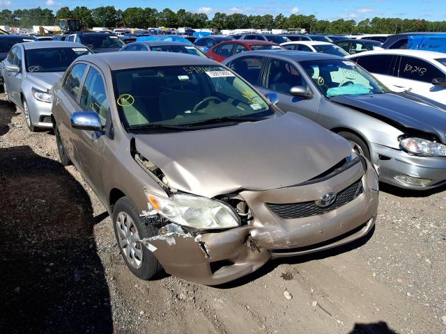 TOYOTA COROLLA 2010 2t1bu4ee2ac331842