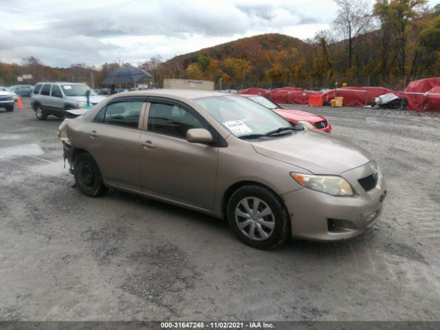 TOYOTA COROLLA 2010 2t1bu4ee2ac338242