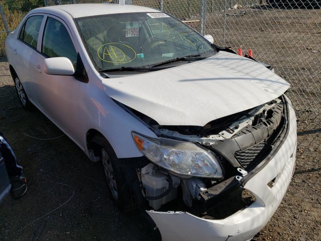 TOYOTA COROLLA BA 2010 2t1bu4ee2ac367143