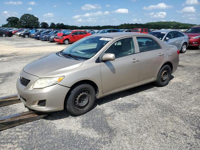 TOYOTA COROLLA 2010 2t1bu4ee2ac393631