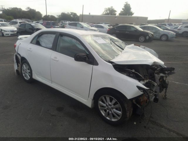 TOYOTA COROLLA 2010 2t1bu4ee2ac411125