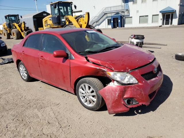 TOYOTA COROLLA BA 2010 2t1bu4ee2ac416759