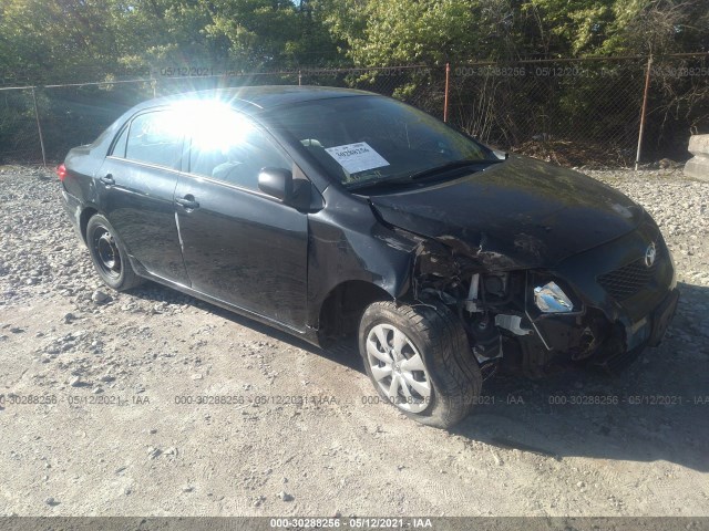 TOYOTA COROLLA 2010 2t1bu4ee2ac423145