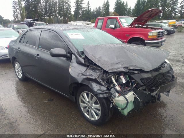 TOYOTA COROLLA 2010 2t1bu4ee2ac425395