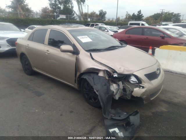 TOYOTA COROLLA 2010 2t1bu4ee2ac443220