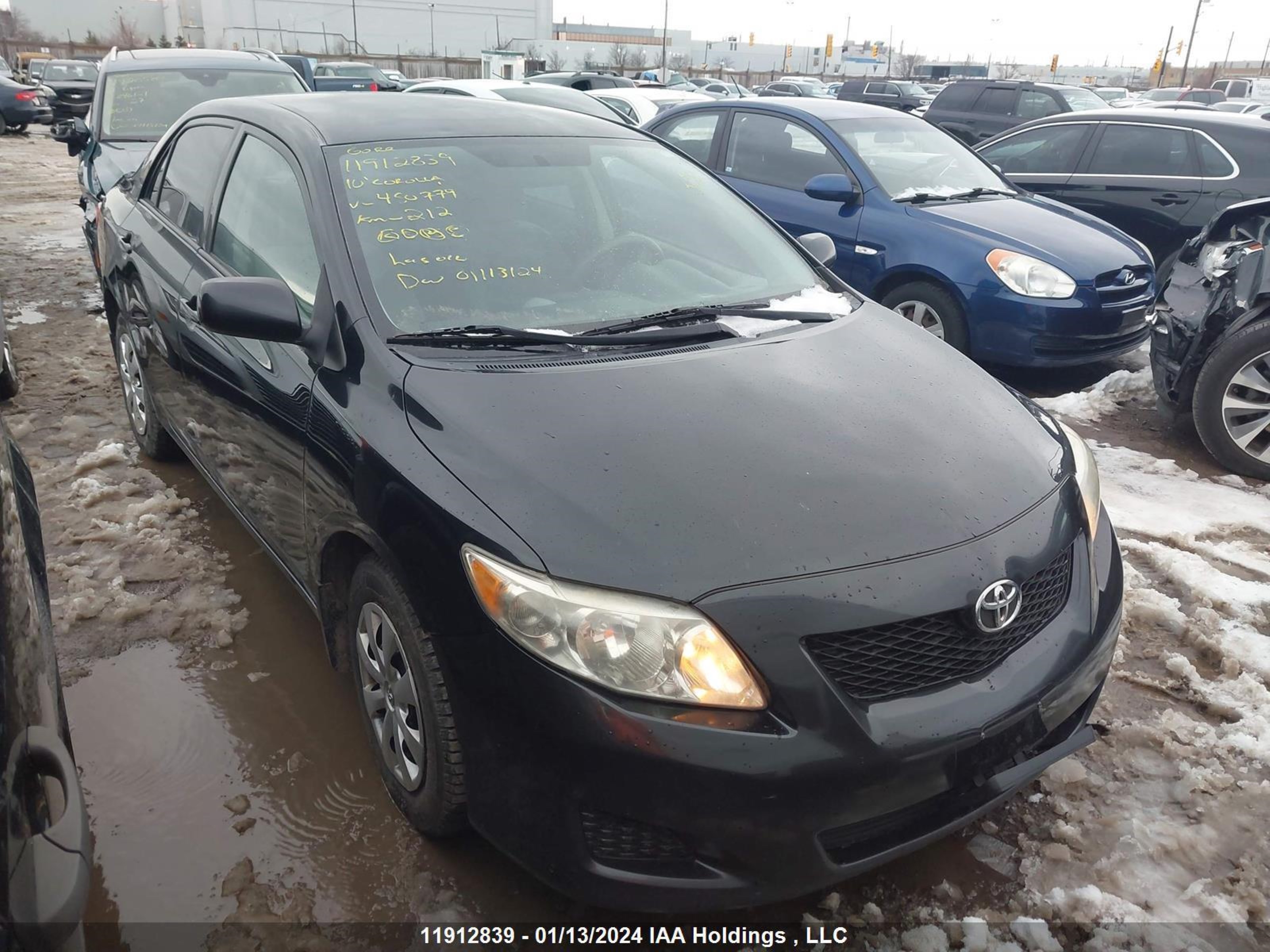 TOYOTA COROLLA 2010 2t1bu4ee2ac450779