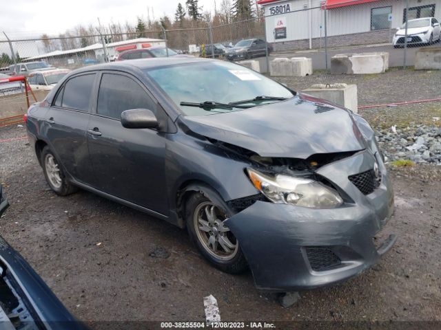 TOYOTA COROLLA 2010 2t1bu4ee2ac465170