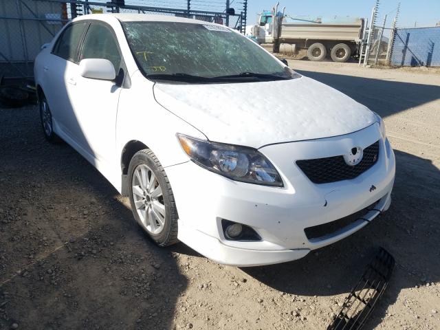 TOYOTA COROLLA BA 2010 2t1bu4ee2ac465749