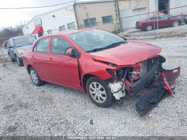 TOYOTA COROLLA 2010 2t1bu4ee2ac466397