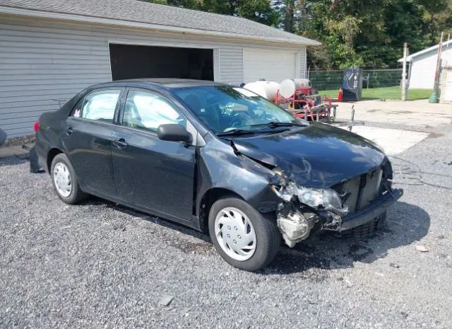 TOYOTA COROLLA 2010 2t1bu4ee2ac471339