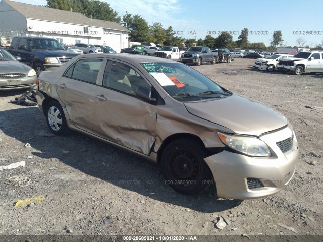 TOYOTA COROLLA 2010 2t1bu4ee2ac488352