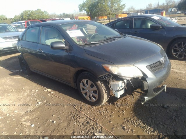 TOYOTA COROLLA 2010 2t1bu4ee2ac508261