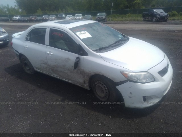 TOYOTA COROLLA 2010 2t1bu4ee2ac508728