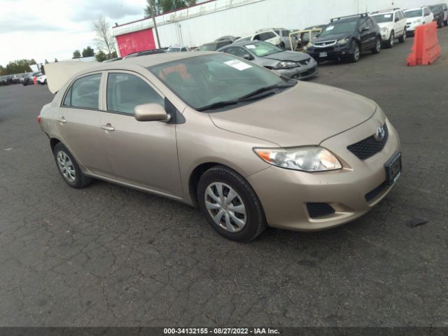 TOYOTA COROLLA 2010 2t1bu4ee2ac511435