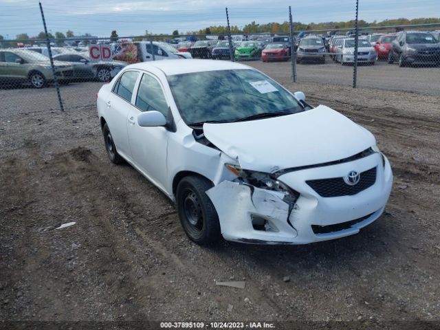 TOYOTA COROLLA 2010 2t1bu4ee2ac519499