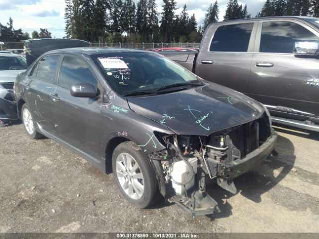 TOYOTA COROLLA 2010 2t1bu4ee2ac525304