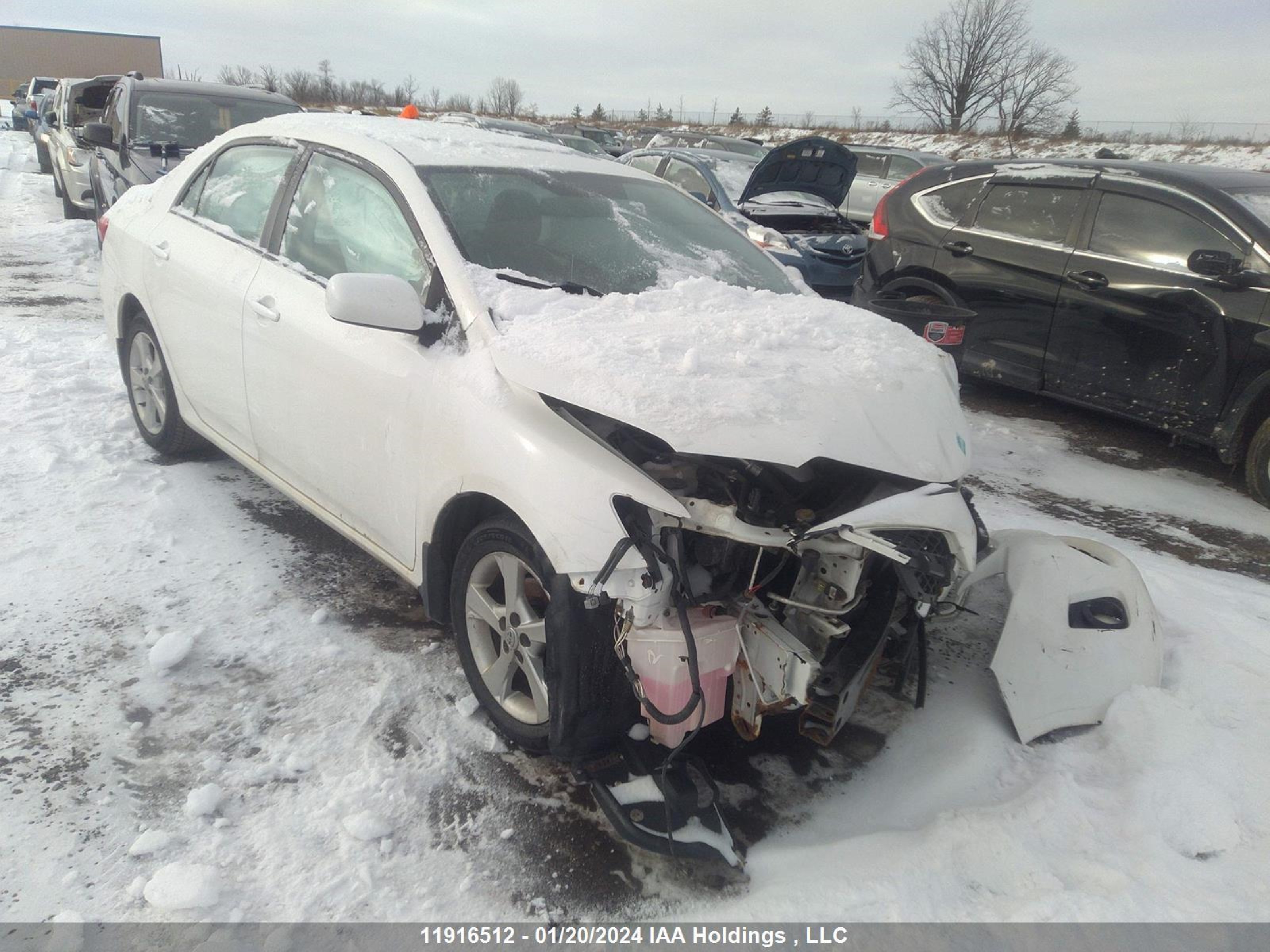 TOYOTA COROLLA 2012 2t1bu4ee2cc896661