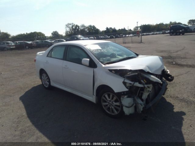 TOYOTA COROLLA 2010 2t1bu4ee3ac196709