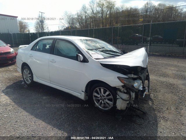 TOYOTA COROLLA 2010 2t1bu4ee3ac224282