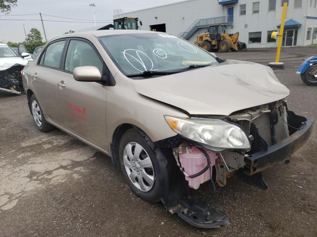 TOYOTA COROLLA BA 2010 2t1bu4ee3ac227313