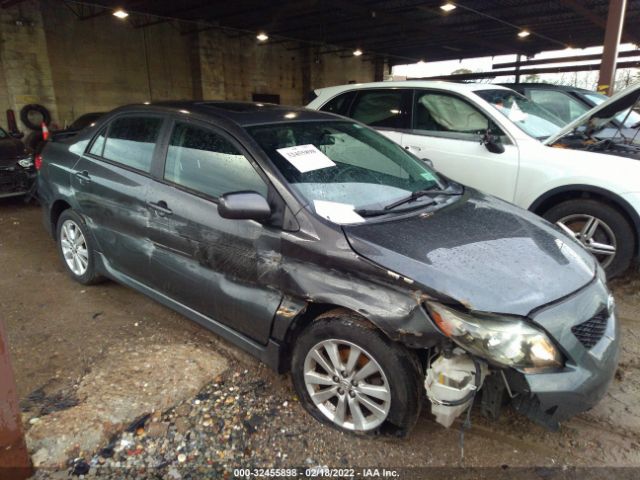 TOYOTA COROLLA 2010 2t1bu4ee3ac244600